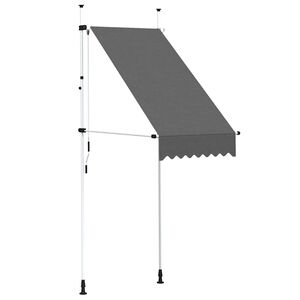 vidaXL Luifel handmatig uittrekbaar 100 cm antraciet