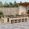 vidaXL 15-delige Tuinset met kussens poly rattan gemengd beige