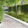 Miniatuurafbeelding van het product 2 van 9