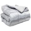 vidaXL Winter Dekbed Zilver 200 x 220 cm Satijn en Microfiber