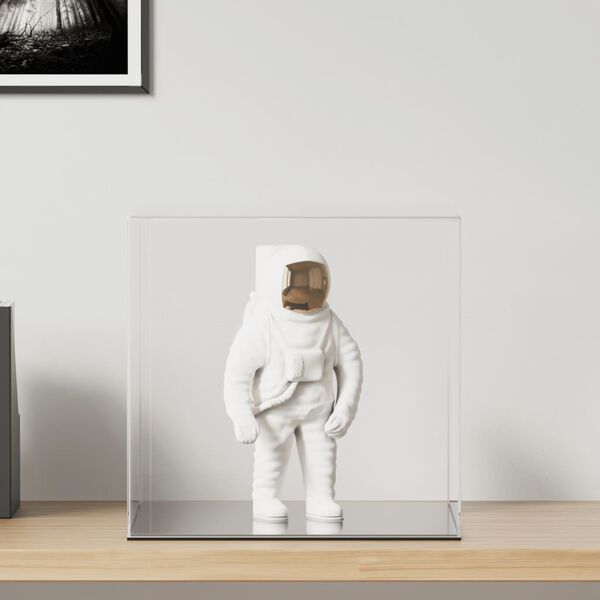 vidaXL Vitrine transparant 40x36x35 cm acryl