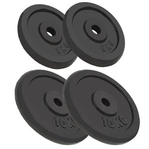 vidaXL Halterschijven 4 st 2x10 kg en 2x5 kg gietijzer