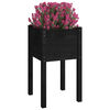 Miniatuurafbeelding van het product 3 van 8