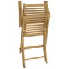 vidaXL Tuinstoelen 4 st inklapbaar 54,5x61,5x86,5 cm acaciahout