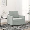 vidaXL Fauteuil 60 cm fluweel lichtgrijs