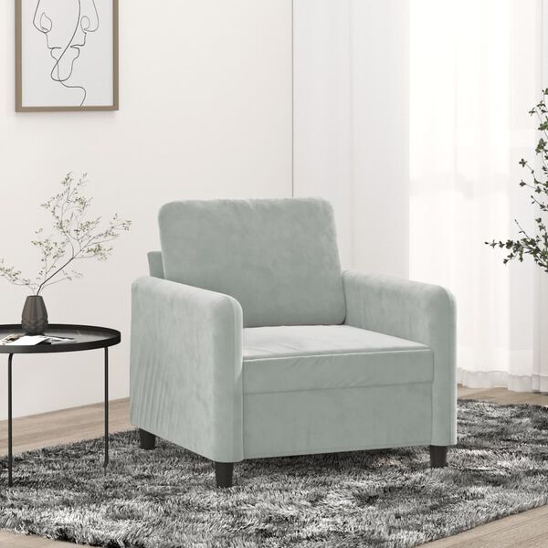 vidaXL Fauteuil 60 cm fluweel lichtgrijs