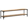 vidaXL Tv-meubel 150x30x40 cm massief mangohout