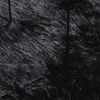 vidaXL Hoogpolig vloerkleed NAVARRA 300x200 cm polyester zwart