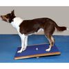 FitPAWS Balansbord extra groot 75x75 cm blauw