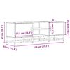 vidaXL Tv-meubel 120x35x41 cm bewerkt hout metaal gerookt eikenkleurig