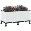 Miniatuurafbeelding van het product 3 van 8