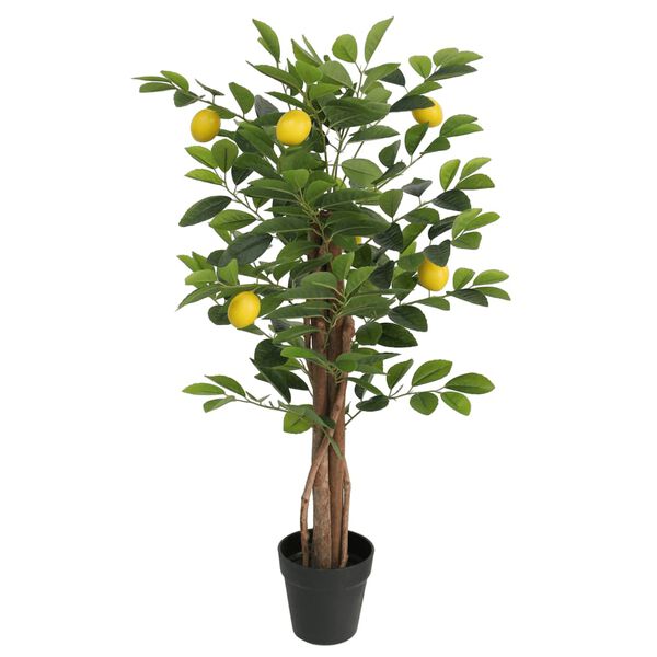 Productafbeelding 1 van 5