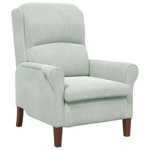 vidaXL Fauteuil Lichtgrijs Fluweel