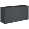 vidaXL Plantenbak Antraciet 100 x 30 x 40 cm Koudgewalst staal