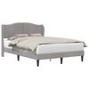 vidaXL Bedframe met hoofdeinde Lichtgrijs 120 x 200 cm Fluweel