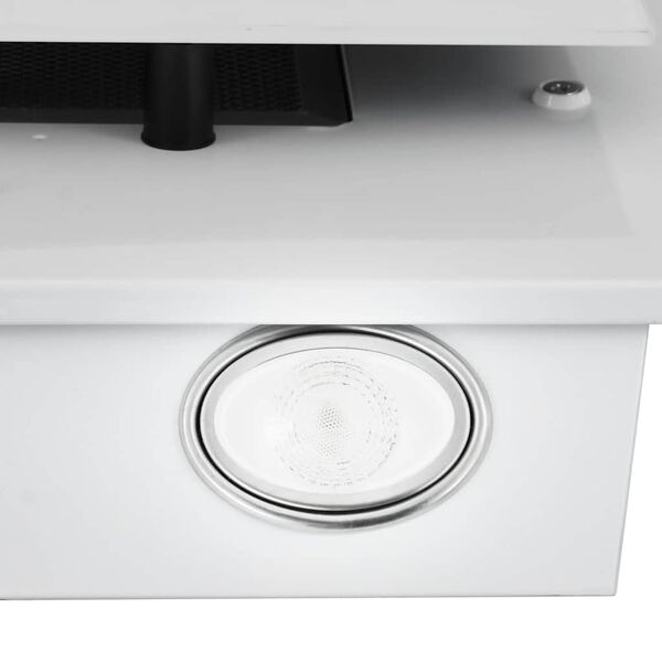 vidaXL Wandafzuigkap 60 cm roestvrij staal en gehard glas wit