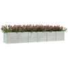 Miniatuurafbeelding van het product 3 van 8