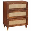 vidaXL Dressoir Bruin 60 x 33 x 75 cm Massief Mango Hout