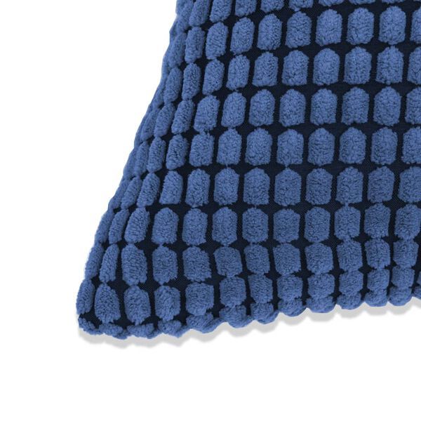 vidaXL Sierkussenset 40x60 cm velours blauw 2-delig