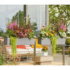 Miniatuurafbeelding van het product 6 van 6