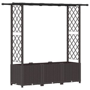 vidaXL Verhoogd Bed met Trellis en Dak Bruin 162,5 x 40 x 138 cm PP