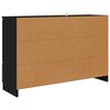 vidaXL Dressoir met lade Zwart 100 x 30 x 65,6 Bewerkt hout