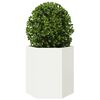 Miniatuurafbeelding van het product 3 van 10