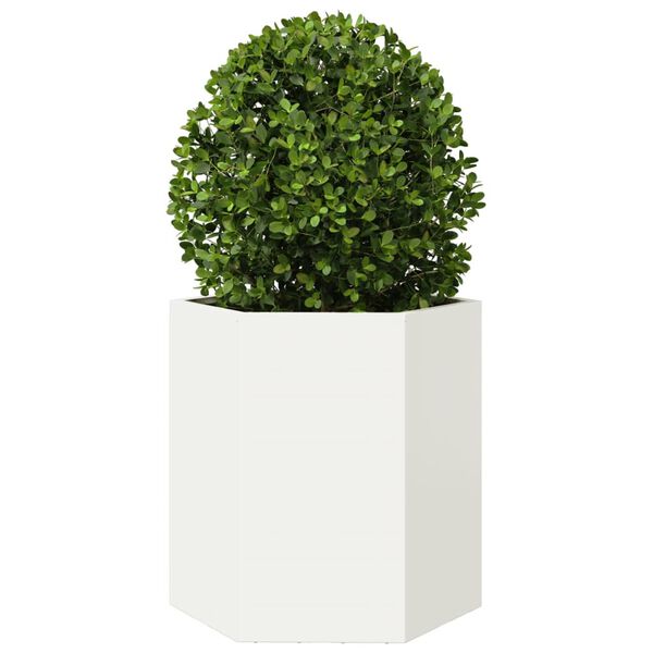 Productafbeelding 3 van 10