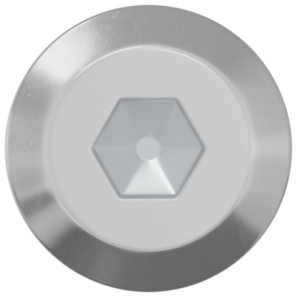 vidaXL Bout 12 pcs Zilver M6 x 60 mm Staal