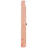 vidaXL Kastdeurtjes voor buitenkeuken 2 st 50x9x82 cm douglashout