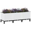 Miniatuurafbeelding van het product 3 van 8