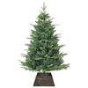 vidaXL Kerstboomkraag Zwart 50 x 50 x 25 cm Waterhyacint