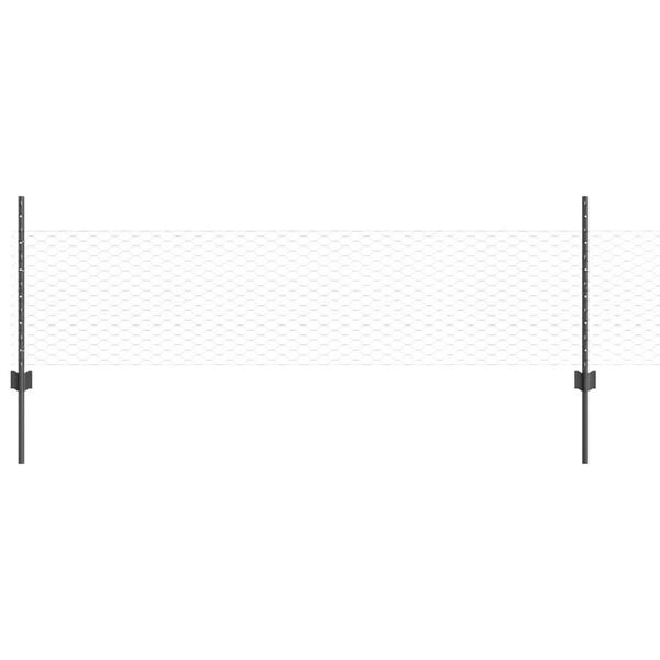 Productafbeelding 1 van 13