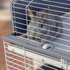 Miniatuurafbeelding van het product 10 van 20