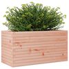 vidaXL Plantenbak 90x40x46 cm massief douglashout