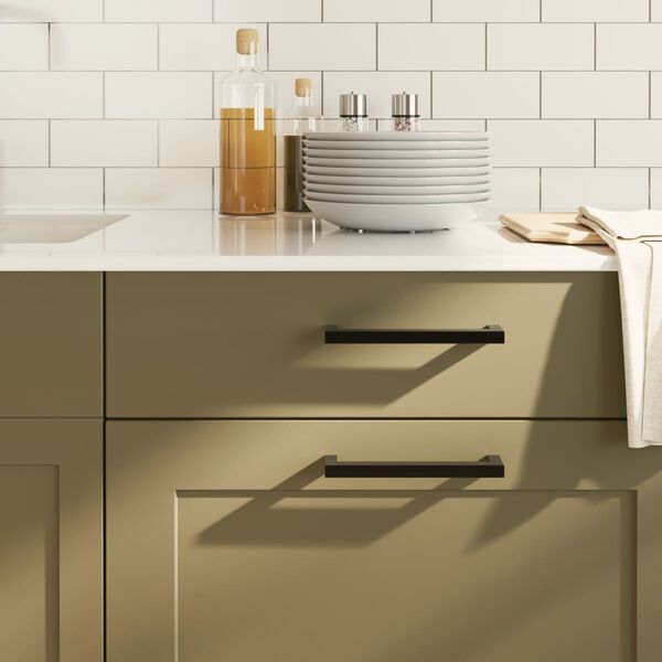 vidaXL Handvatten 10 st 160 mm roestvrij staal zwart