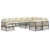 vidaXL 11-delige Loungeset met kussens poly rattan antracietkleurig