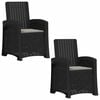 vidaXL Ligstoel in rietenlook 2 pcs Anthraciet en Lichtgrijs PP
