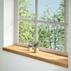 vidaXL Vensterbanken 2 st 100x30x2 cm massief eikenhout lichtbruin