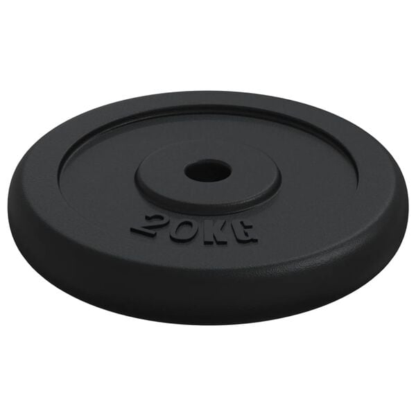 vidaXL Halterschijf 20 kg gietijzer