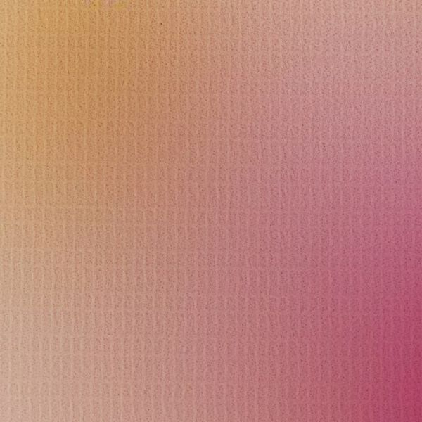 vidaXL Kamerscherm inklapbaar bloem 217x170 cm