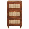 vidaXL Dressoir Bruin 40 x 33.5 x 75 cm Bamboe en massief mango hout