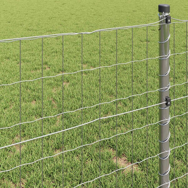 vidaXL Euro Hek 1 x 10 m PVC-gecoat ijzer