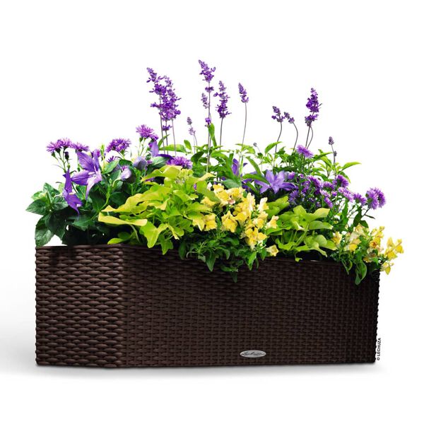 LECHUZA Plantenbak BALCONERA Cottage 80 ALL-IN-ONE mokkakleurig