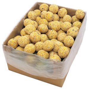 vidaXL Vetbollen voor vogels 200 st 90 g