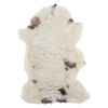 Miniatuurafbeelding van het product 7 van 11