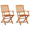 vidaXL Opklapbare stoelen, 2 stuks, van massief eucalyptushout