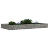 vidaXL Gabion plantenbak verhoogd 200x100x20 cm gegalvaniseerd staal