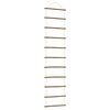vidaXL Wanddecoratie laddervormig 50x200 cm naturel tak