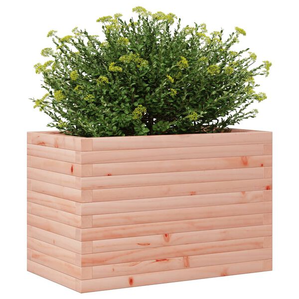 vidaXL Plantenbak 70x40x46 cm massief douglashout